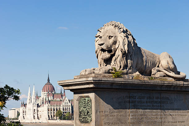 ponte da cadeia em budapeste, hungria - chain bridge budapest bridge lion imagens e fotografias de stock