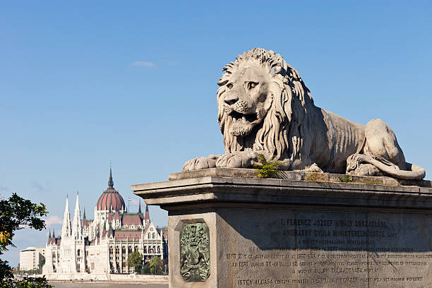 the цепной мост в будапеште, венгрия - chain bridge budapest bridge lion стоковые фото и изображения