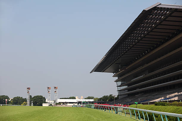 pista de carreras de caballos - tokyo racecourse fotografías e imágenes de stock