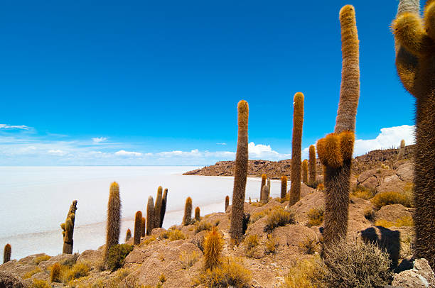 salar de uyuni - salar stock-fotos und bilder