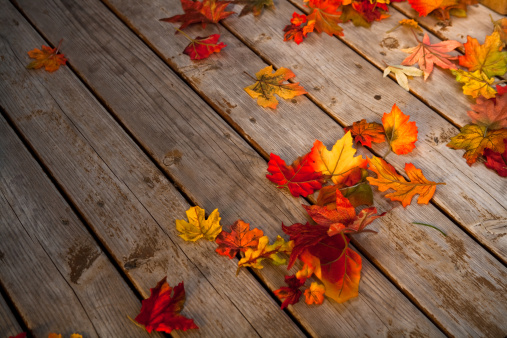 Red leaves that have turned in autumn lie on weathered wooden planks. There is space for text.