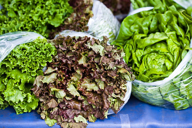 Bagged Lettuce stock photo