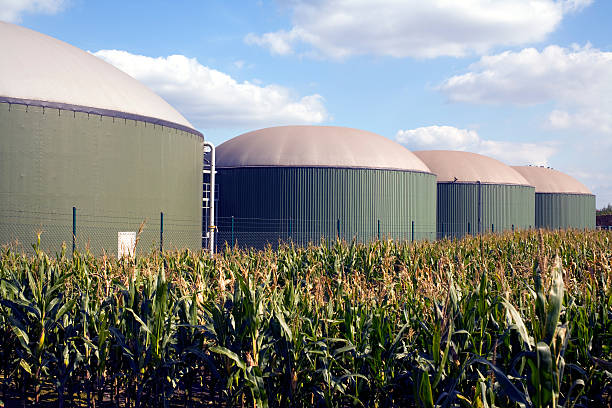 quatro silos em fábrica de produção de biogás - biodiesel imagens e fotografias de stock