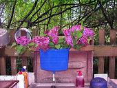 Bouquet, lilac branches in a country washstand.