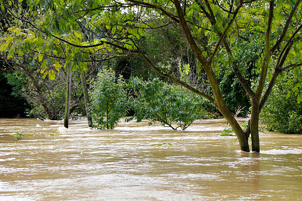 istock Flooded landscape on overcast day 157679706