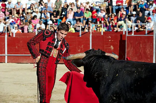 Bullfighter, bullfighting, in a bullring