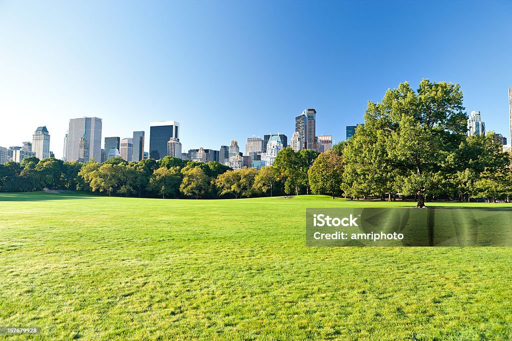 Central Park com arranha-céus de Manhattan atrás - Foto de stock de Cidade royalty-free