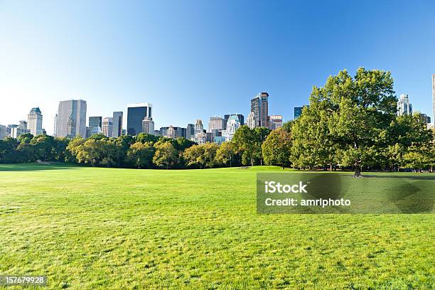 Foto de Central Park Com Arranhacéus De Manhattan Atrás e mais fotos de stock de Cidade - Cidade, Parque público, Verde - Descrição de Cor
