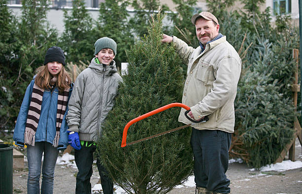 istock Family at Lot ... Picking out Christmas Tree 157680112