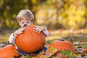 Cute as a Pumpkin in Fall
