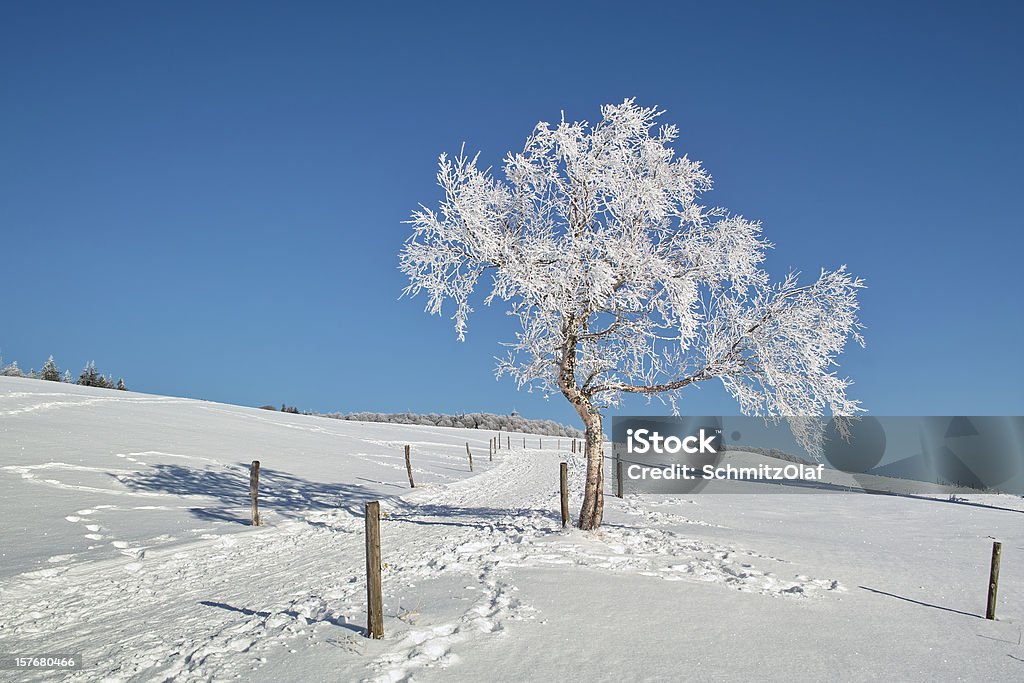 NevadasComment Paisagem de inverno com caminho na Floresta Negra - Royalty-free Ao Ar Livre Foto de stock