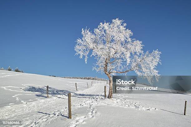 Nevadascomment Paisagem De Inverno Com Caminho Na Floresta Negra - Fotografias de stock e mais imagens de Ao Ar Livre