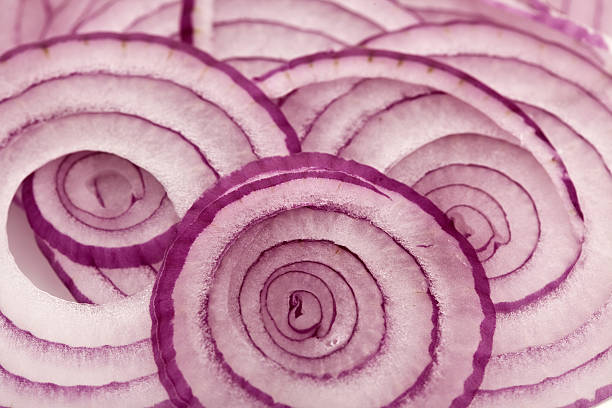 rings of red onion  spanish onion stock pictures, royalty-free photos & images