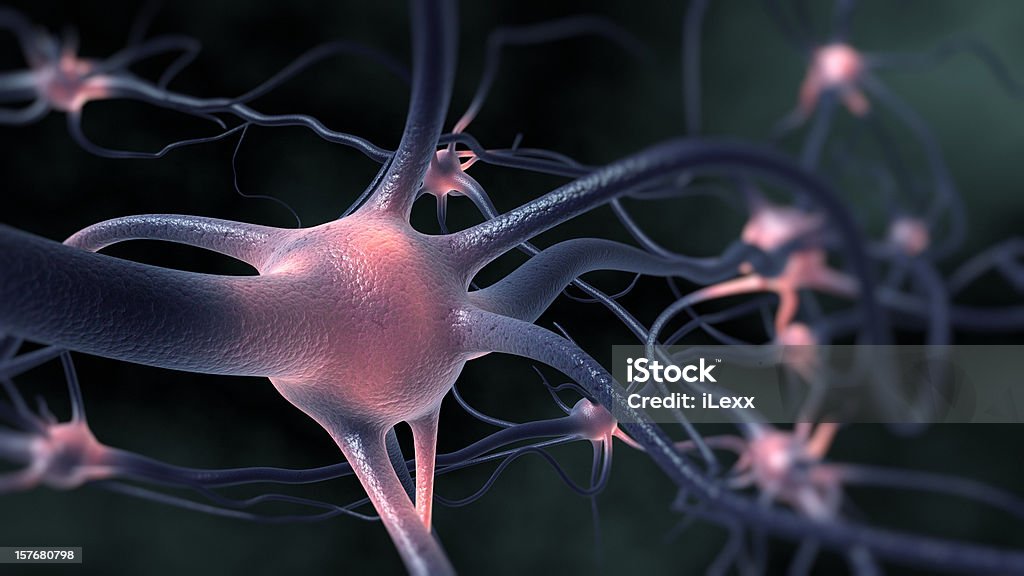 Neurons - Foto de stock de Neurônio royalty-free