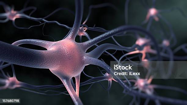 Foto de Neurons e mais fotos de stock de Neurônio - Neurônio, Núcleo, Raiz do nervo