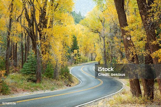 Avvolgimento Strada Attraverso Le Montagne Del Colorado - Fotografie stock e altre immagini di Albero