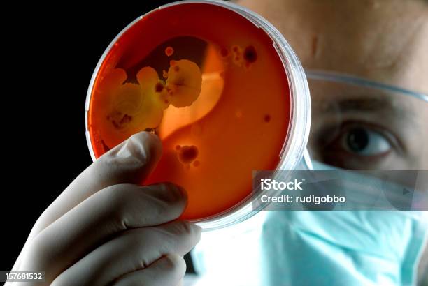 Haemoliticum Bacterias Foto de stock y más banco de imágenes de Estreptococo - Estreptococo, Agar sangre, Agar-agar