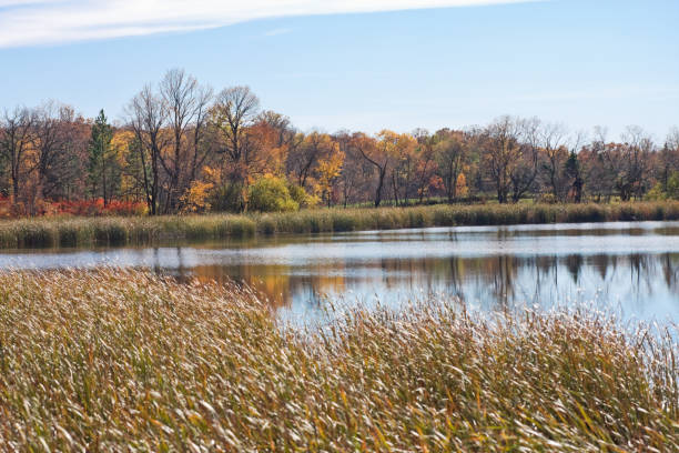 istock Lake and Forest Scene in Autumn 157681654