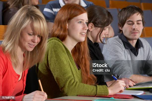 Young Mixed Students Working And Listening During Lecture Stock Photo - Download Image Now