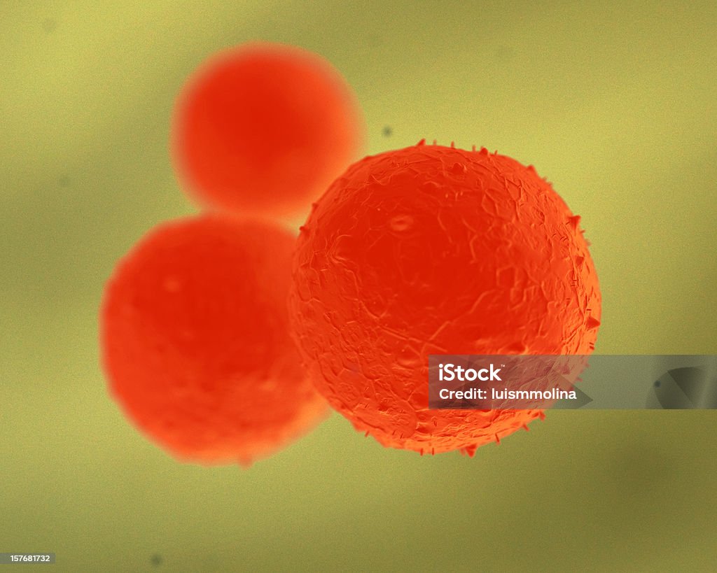 Stem Cell  Scientific Experiment Stock Photo