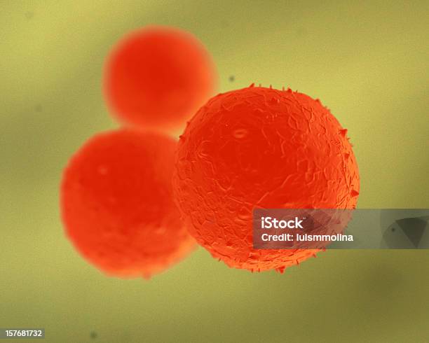 Stem Cell Stock Photo - Download Image Now - Scientific Experiment, Artificial, Biochemistry