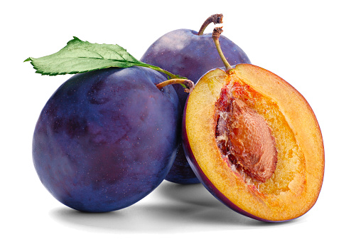 Plums in an orchard in France in summer. Blue and purple plums in the garden, prunus domestica