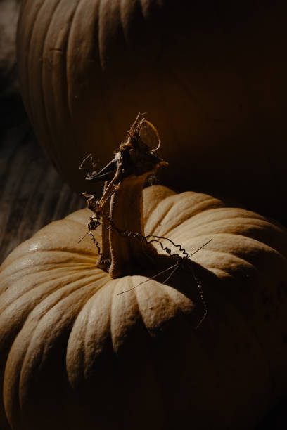 istock Halloween pumpkin, dark and moody 1576824119