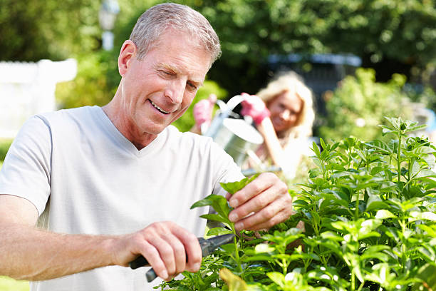 istock Happy Gardner pruning plants with blur woman in background 157682489
