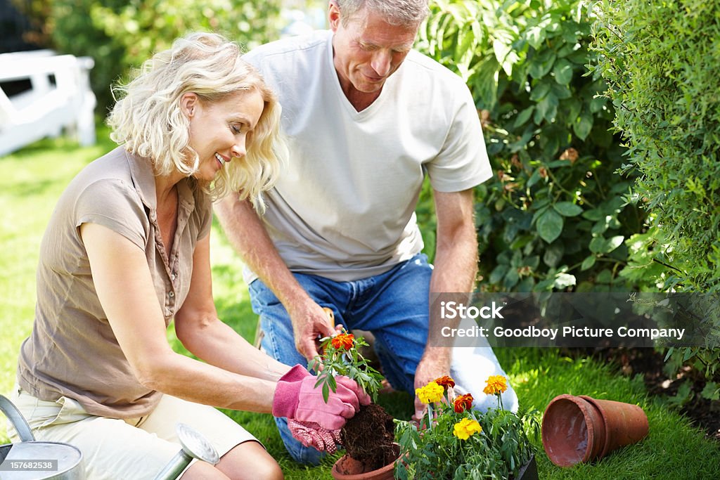 Gerne Älteres Paar Pflanzen Blumen im Garten - Lizenzfrei Aktiver Lebensstil Stock-Foto