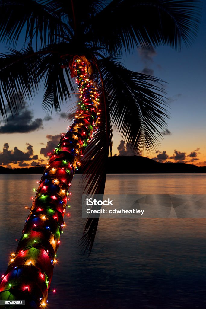 Christmas lights auf Palme am Strand am Karibischen Meer - Lizenzfrei Weihnachten Stock-Foto