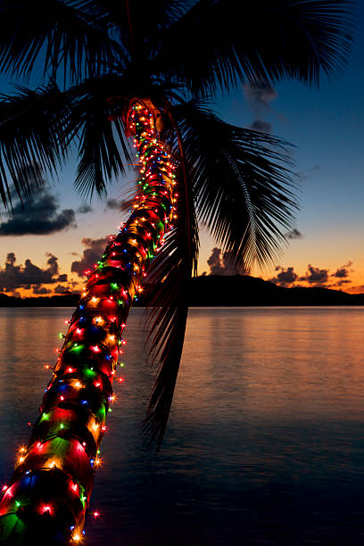 illuminations de noël sur palmier sur une plage des caraïbes - christmas palm tree island christmas lights photos et images de collection