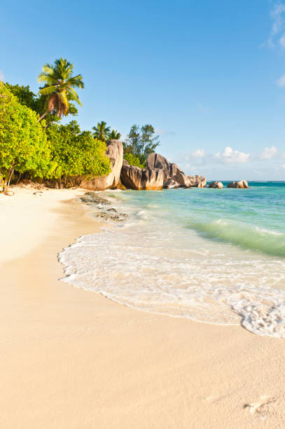 打ち寄せる波ののどかな熱帯の島、ビーチでヤシの木がスイミングラグーンセイシェル諸島 - water rainforest frond tropical climate ストックフォトと画像