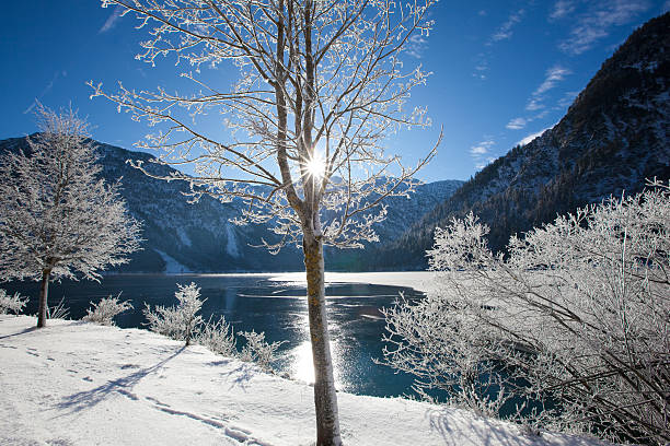 winter at lake plansee in tirol - austria stock photo