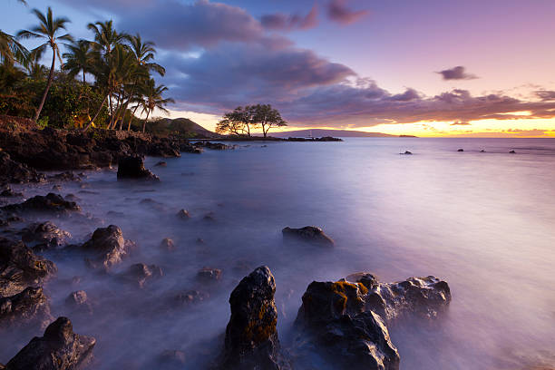 idylic maui coastline with palm tree- hawaii near makena