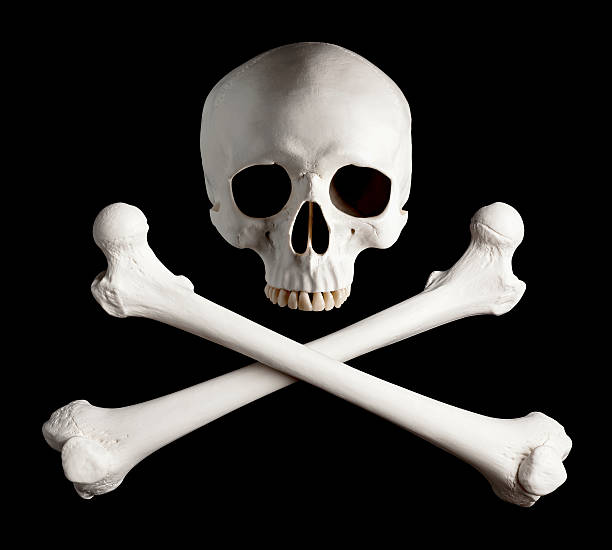 Photograph of Classic Pirate Skull and Crossbones. This is a medical skeleton used to recreate the classic Skull and Crossbones used in the Pirate flag. skull photos stock pictures, royalty-free photos & images
