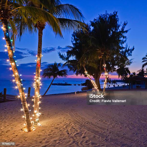 Navidad En La Playa Las Islas Caimán Foto de stock y más banco de imágenes de Navidad - Navidad, Playa, Palmera