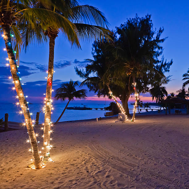 istock Christmas on the Beach, Cayman Islands 157682713