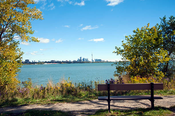Bench with a View A bench in Toronto's west-end overlooking the cities skyline. etobicoke stock pictures, royalty-free photos & images