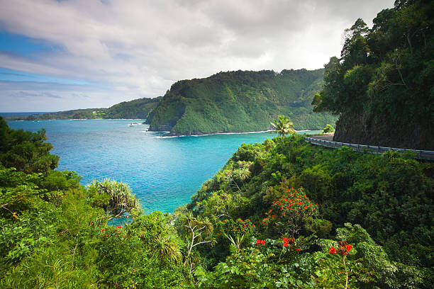 road to hana maui .hawaii - hawaii stock-fotos und bilder