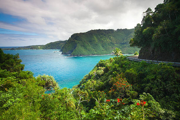 road to 하나-마우이 .hawaii - 하와이 제도 뉴스 사진 이미지