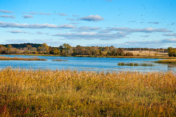 Tula region,Russia