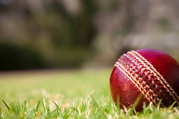 cricket ball auf gras - kricketball stock-fotos und bilder