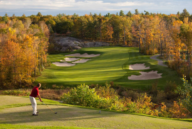 istock Golfer getting ready to swing on a beautiful fall day 157683725