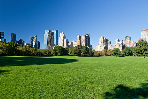 istock central park manhattan new york 157683736