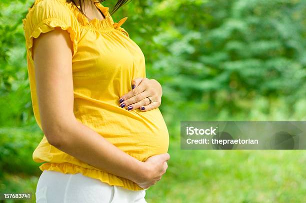 Mujer Embarazada En El Parque Foto de stock y más banco de imágenes de Abdomen - Abdomen, Abdomen humano, Adulto