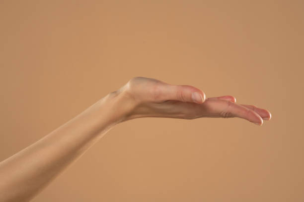 istock Female hand and open palm isolated on beige background 1576838319