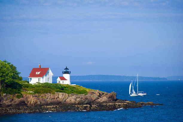 Buildings and solar panels in front of treelline with rocky coastline foreground and crashing waves on sunny summer day