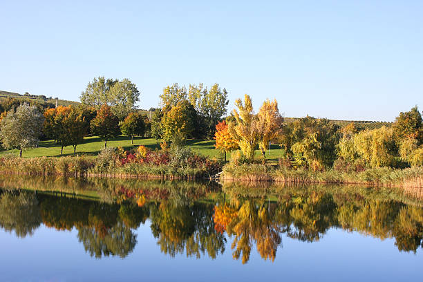 tiempo con el lago de otoño - autumn blue botany clear sky fotografías e imágenes de stock