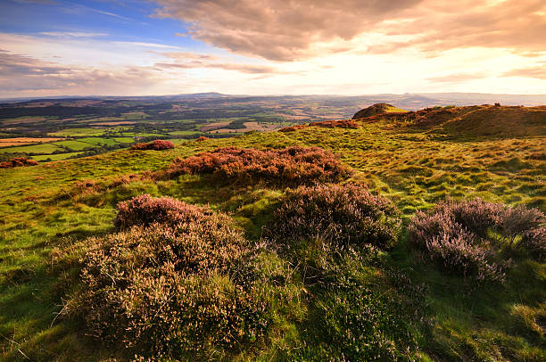 istock The Wrekin, Shropshire 157683927