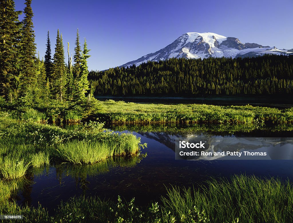 Monte. Parque nacional de Rainier - Royalty-free Monte Rainier Foto de stock